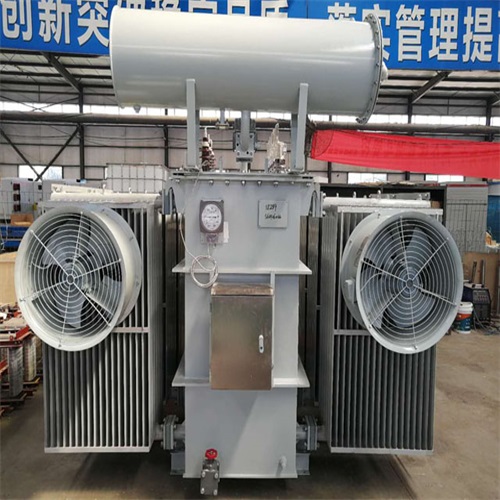 衡水S22-8000KVA电力变压器